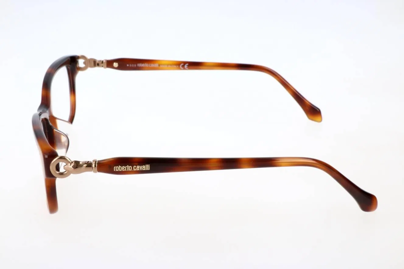 Roberto Cavalli RC5012F Eyeglasses - view 4